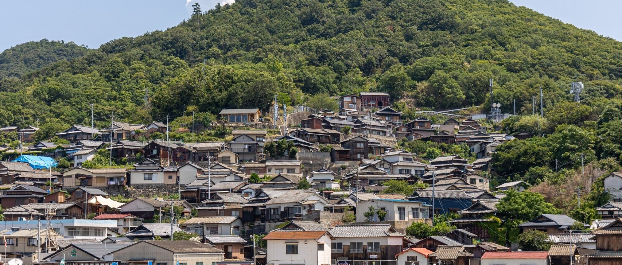 🗿 걷는 방주 (아루쿠 하코부네) 이미지 10